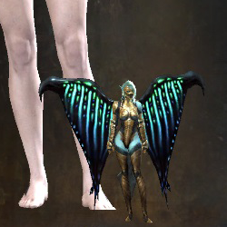 Mini Nikare