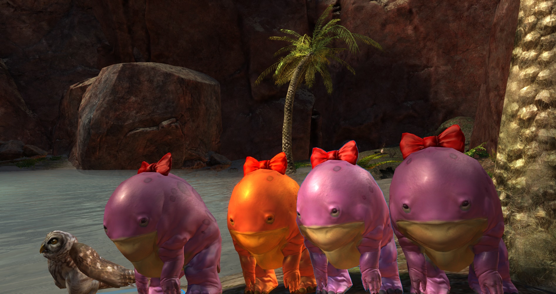 Pink- Quaggan- Chestfarmrun