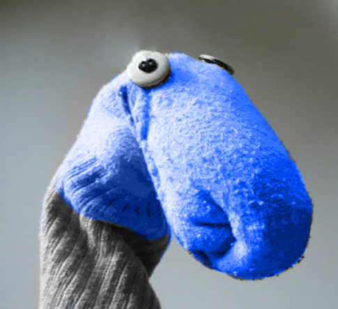Quaggan (selbst gemacht)