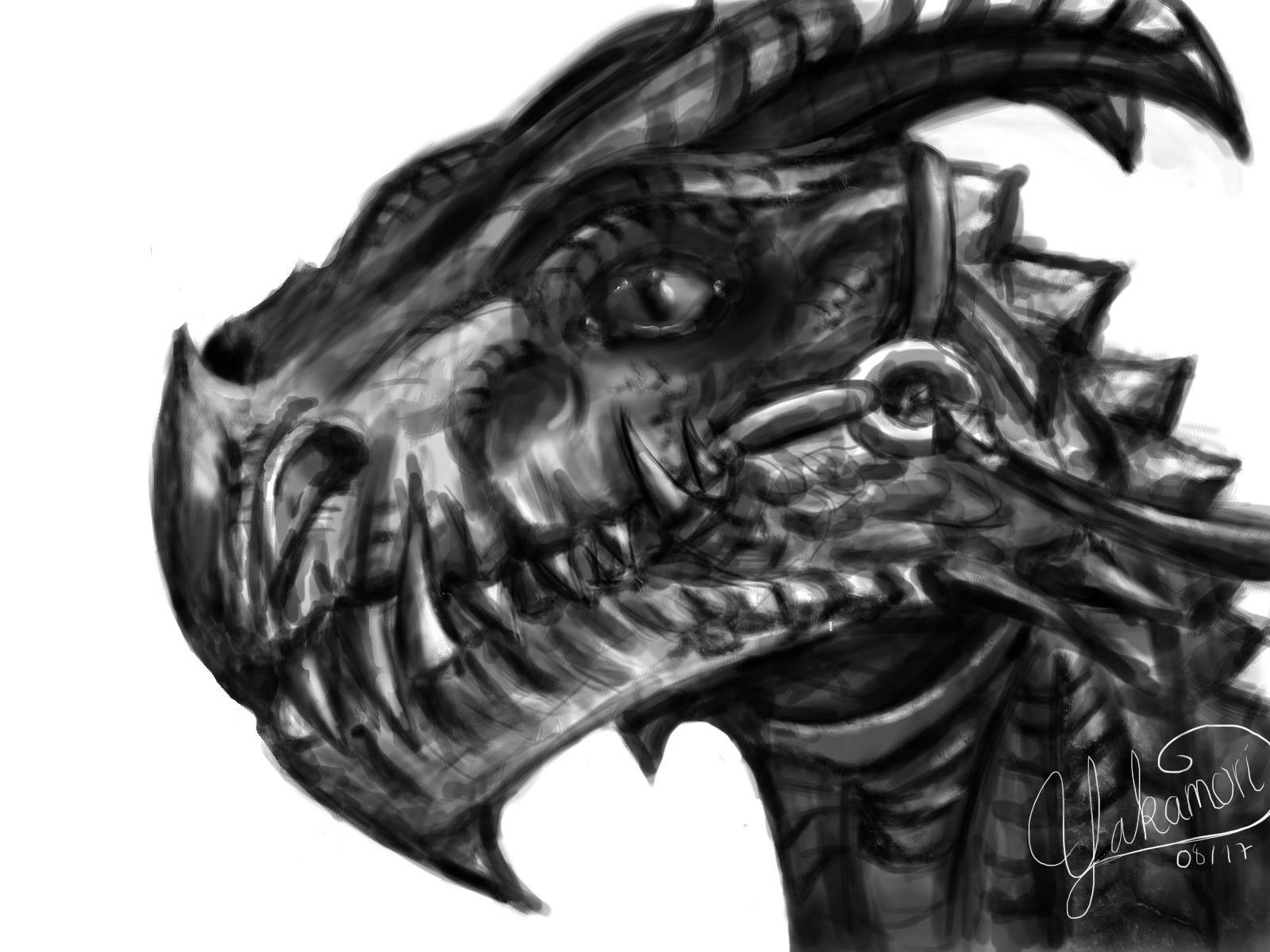 Raptor <3 - Mein erstes "Werk" am Grafiktablet :3