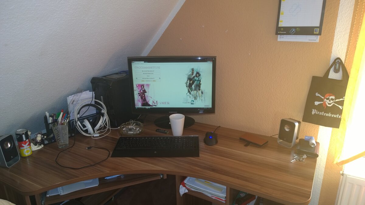 Steffis Home-Office :P