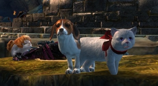 Catdog
